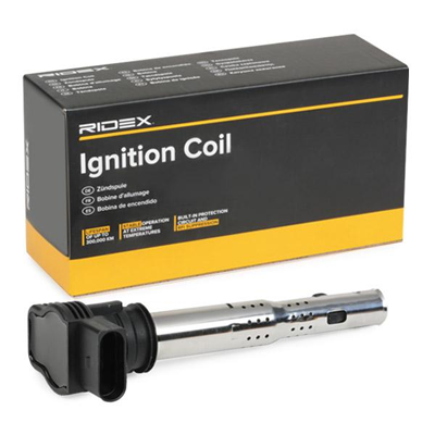 Ignition Coil  689C0019